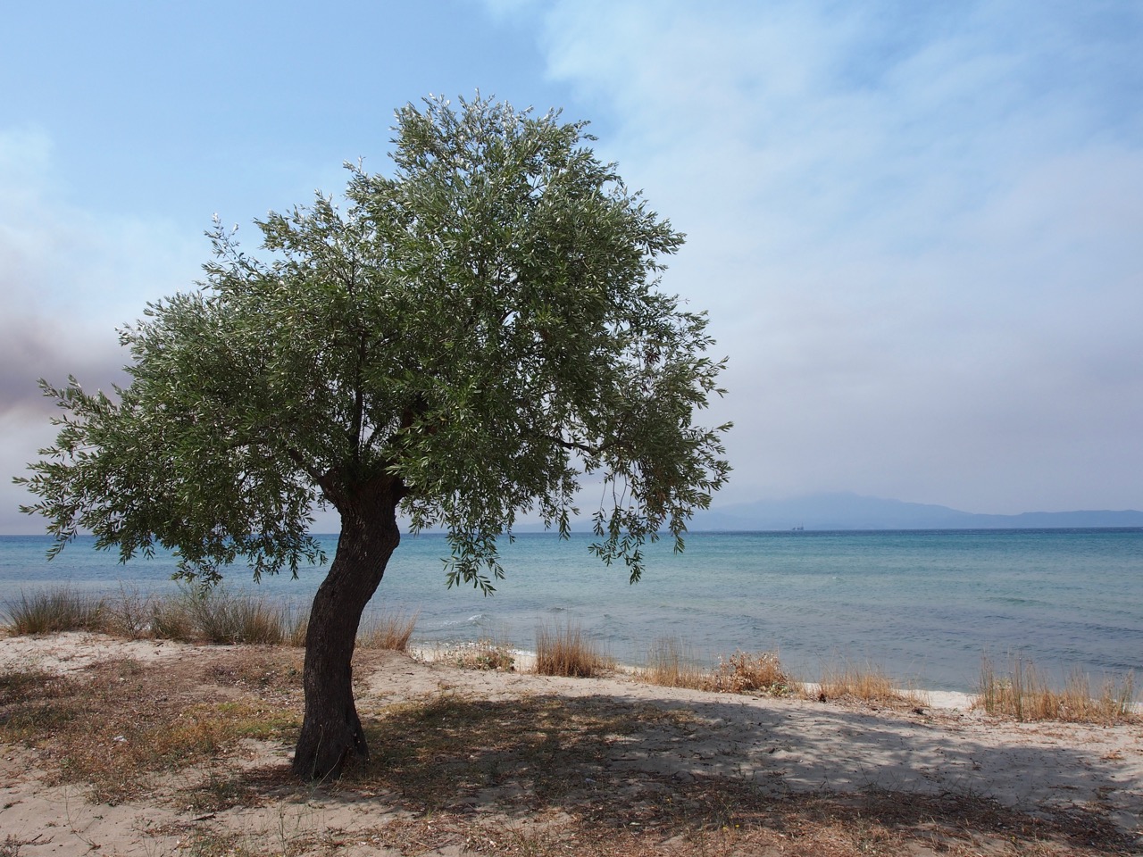 Thassos - Von Stränden verführt