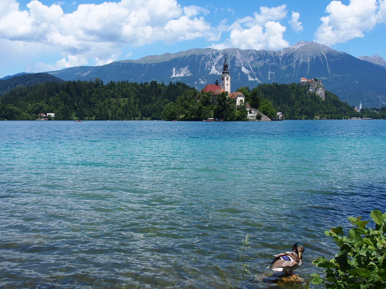 Der See Bled