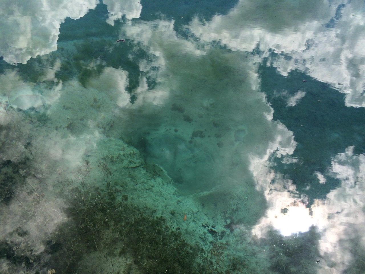 Zelenci-See - Die Quelle aus dem Untergrund