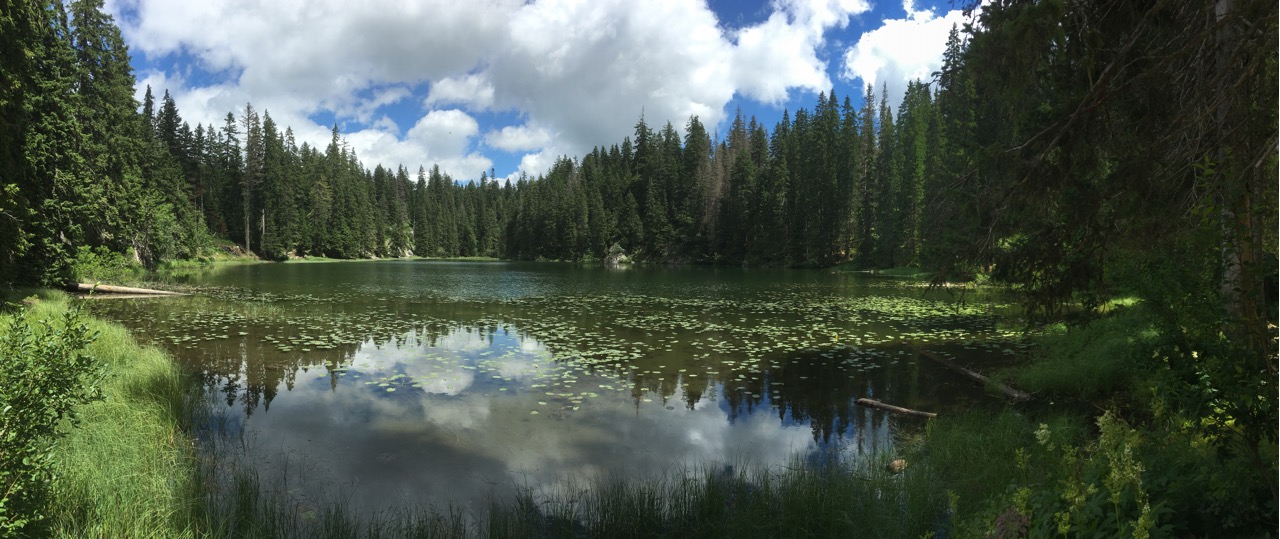 Durmitor - wo der Wald auf Berge trifft und sich der Himmel in den Seen spiegelt